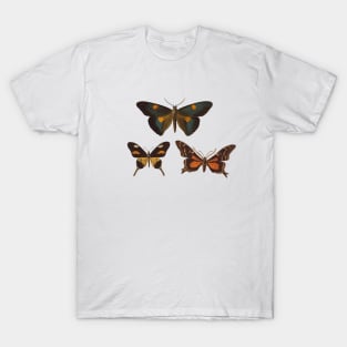 Moth Trinity T-Shirt